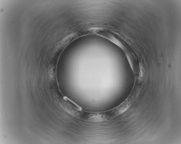 X0000070400611200606161347