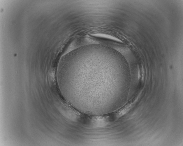 X0000070400613200606161347