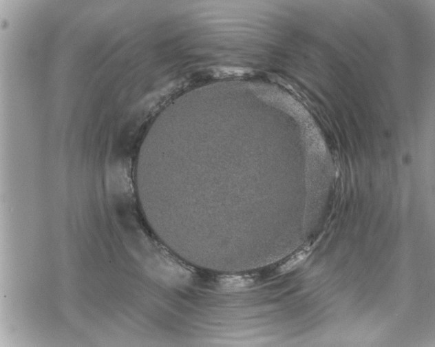 X0000070400616200606161347