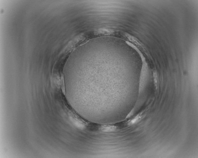 X0000070400617200606161347