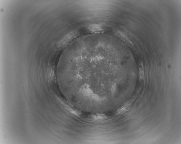 X0000070400618200606161347