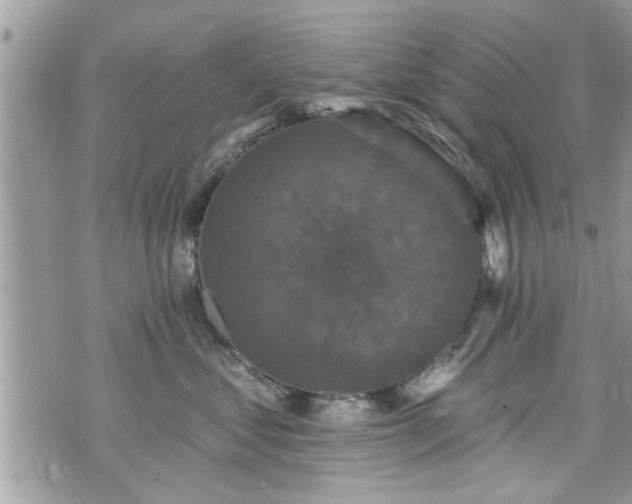 X0000070400621200606161347