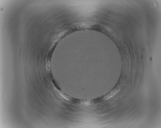 X0000070400624200606161347