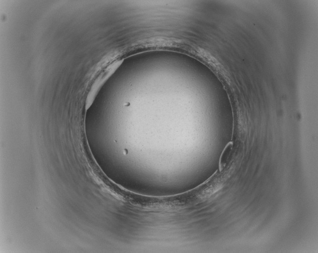 X0000070400625200606161346