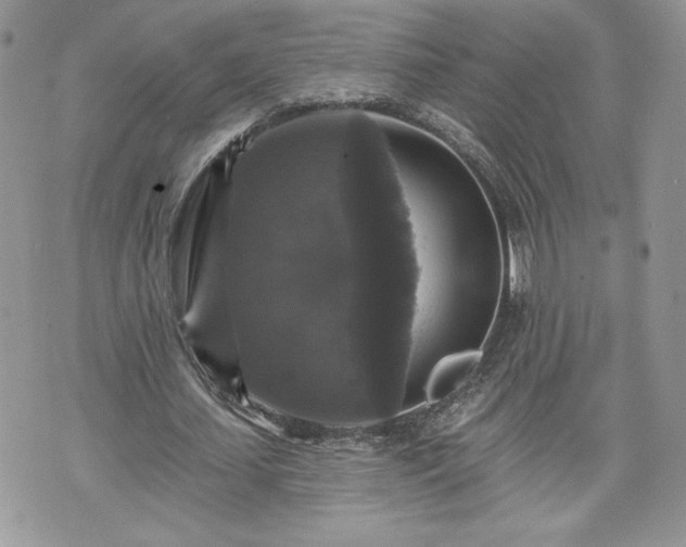 X0000070400627200606161346