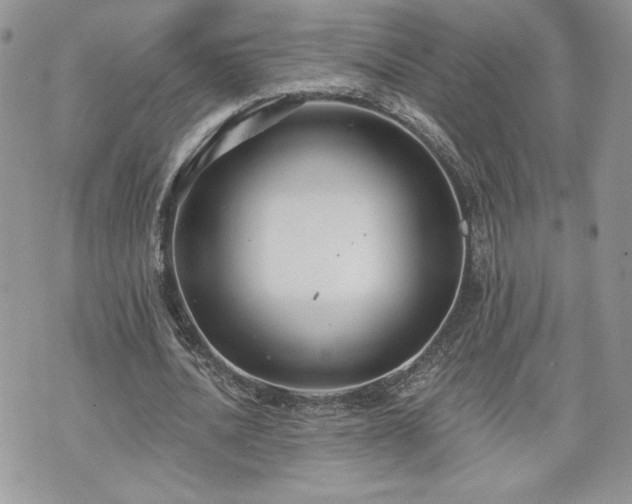 X0000070400628200606161346