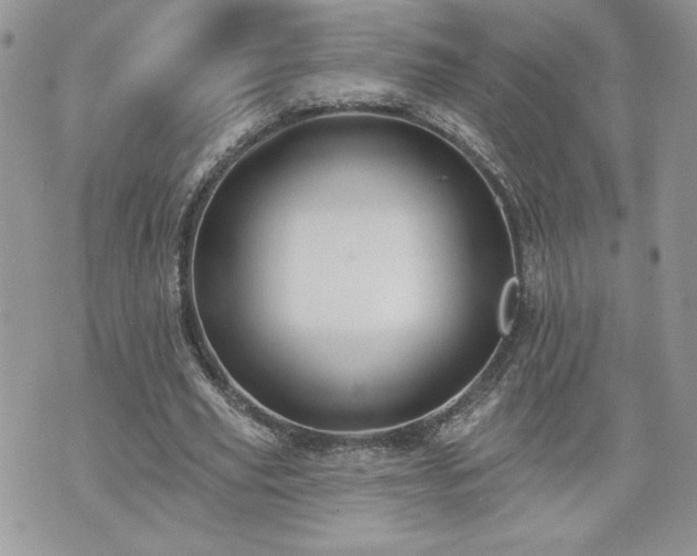 X0000070400629200606161346