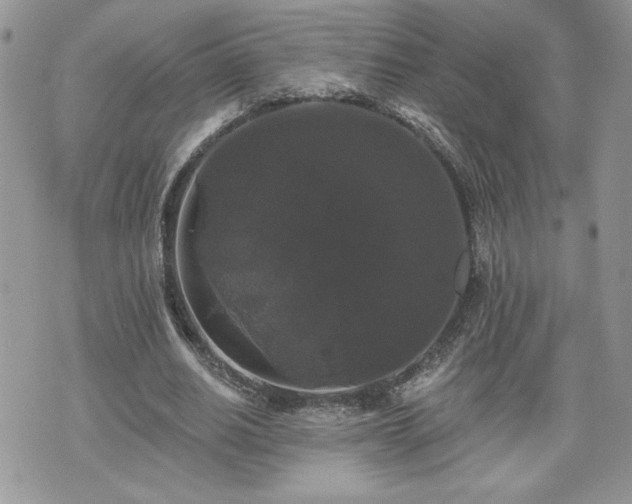 X0000070400630200606161346