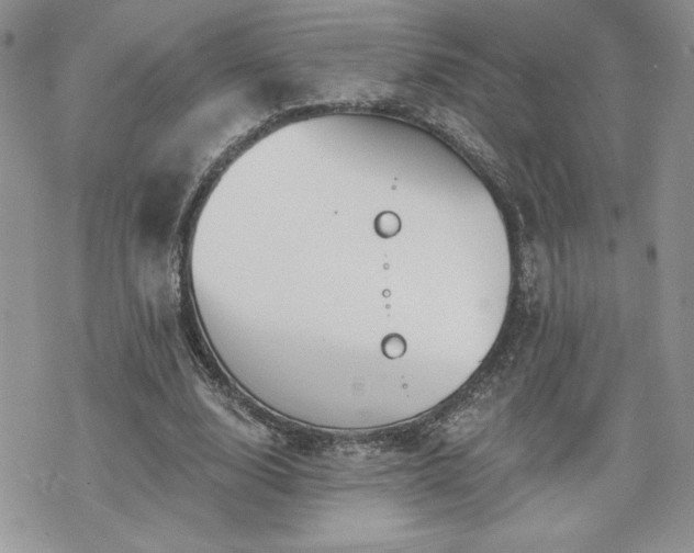 X0000070400632200606161346