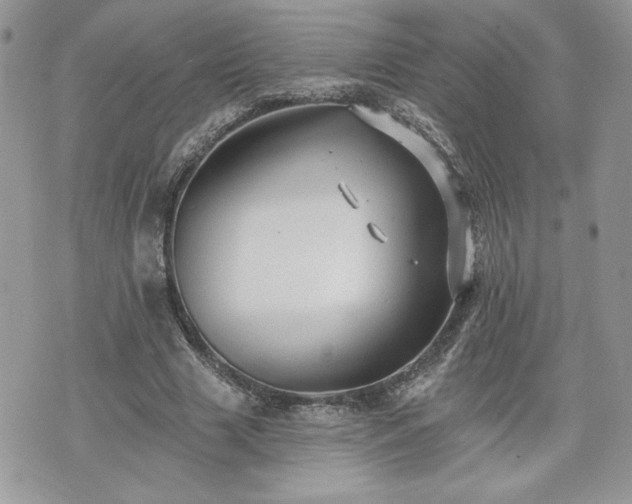 X0000070400633200606161346