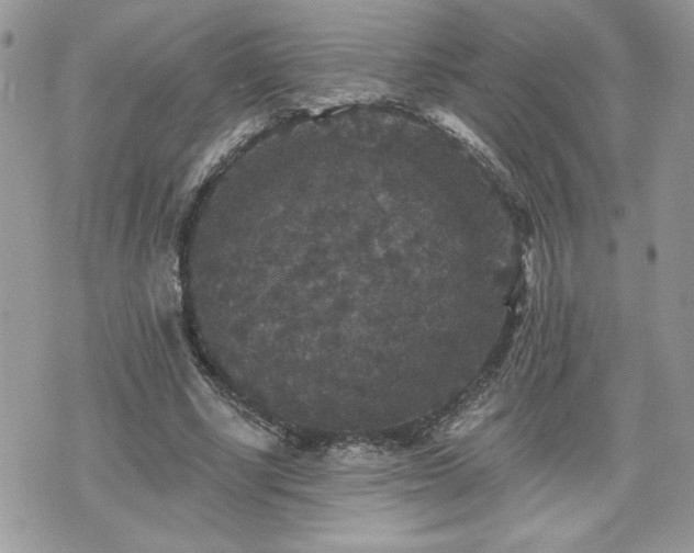 X0000070400634200606161346