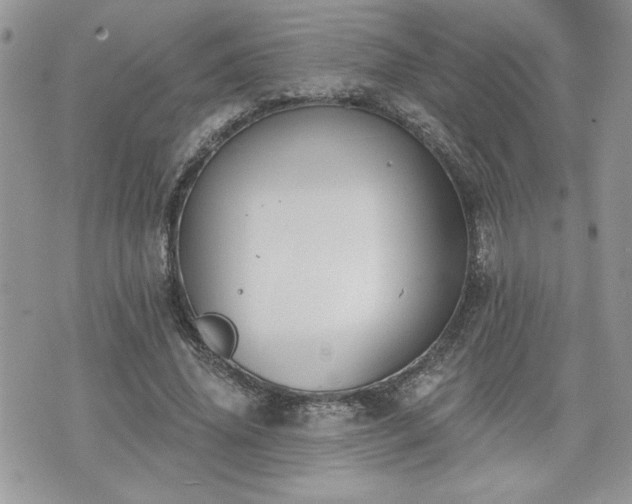 X0000070400636200606161346