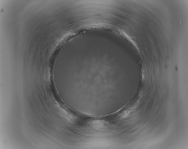 X0000070400637200606161346