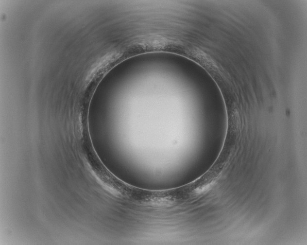 X0000070400638200606161346