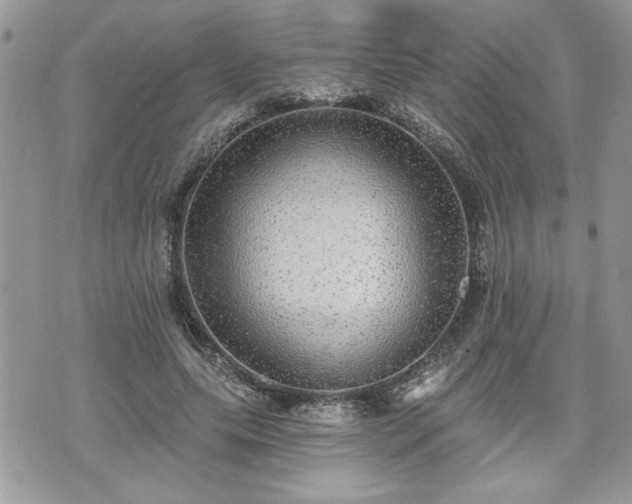 X0000070400639200606161346