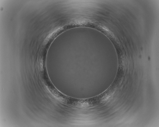 X0000070400640200606161346