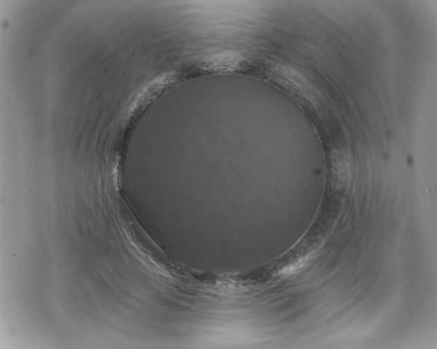 X0000070400641200606161346