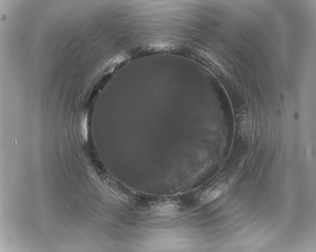 X0000070400643200606161346