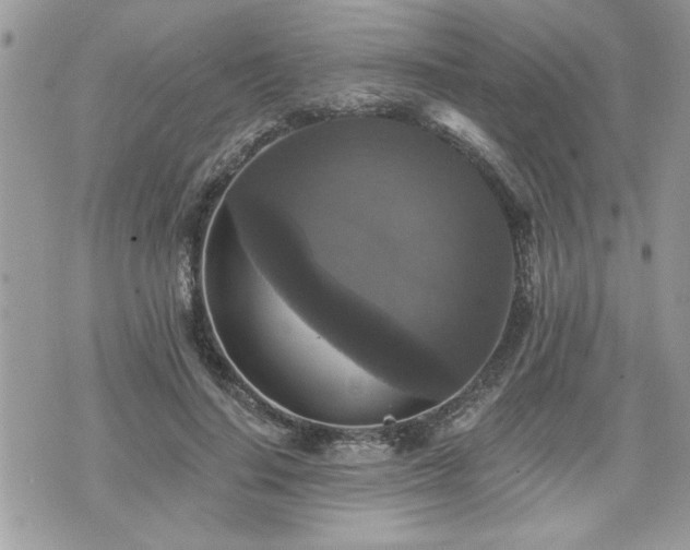 X0000070400644200606161346