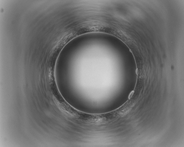 X0000070400646200606161346