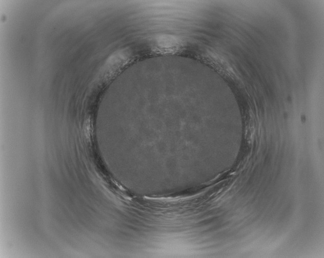 X0000070400647200606161346