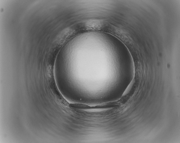 X0000070400649200606161346