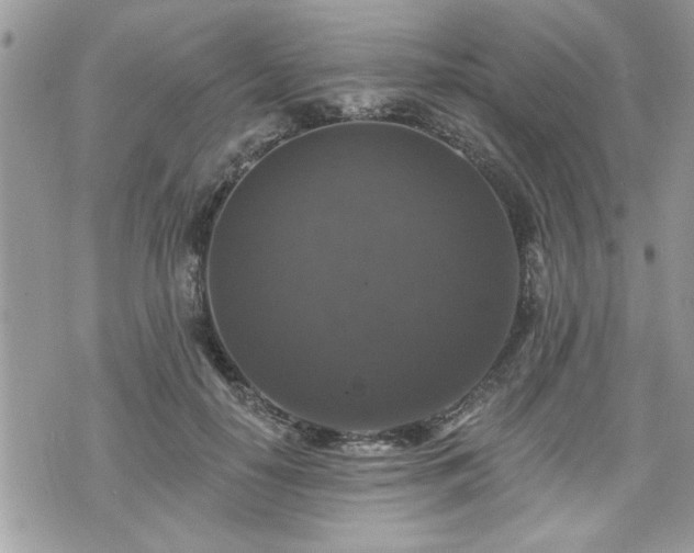 X0000070400650200606161346