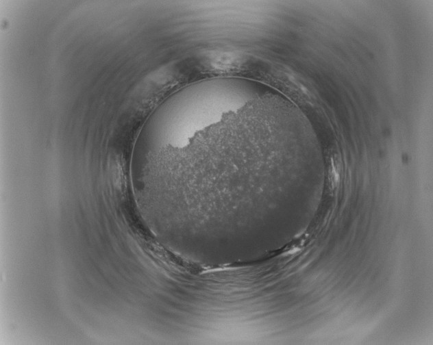 X0000070400651200606161346