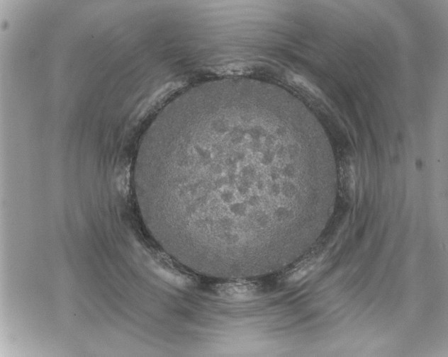 X0000070400652200606161347