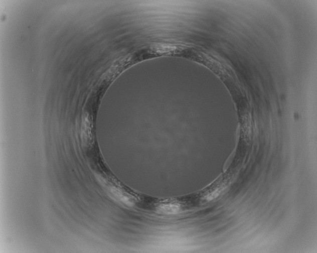 X0000070400653200606161347