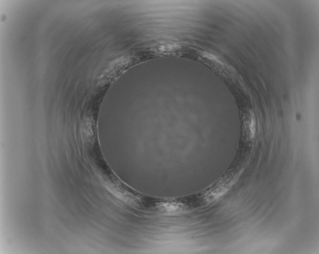 X0000070400654200606161347