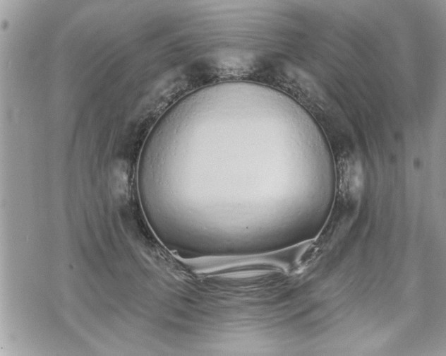 X0000070400655200606161347