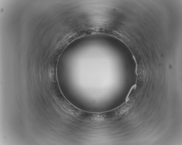 X0000070400656200606161347