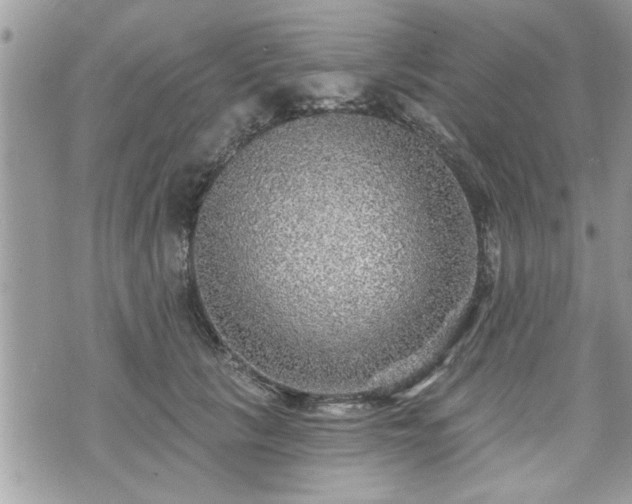 X0000070400657200606161347