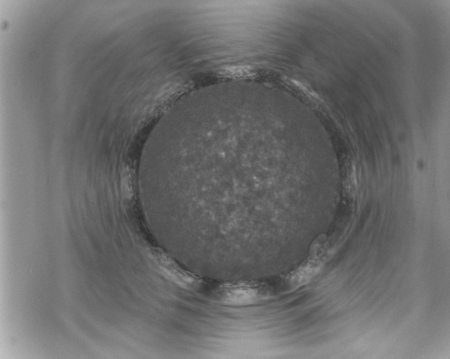 X0000070400658200606161347