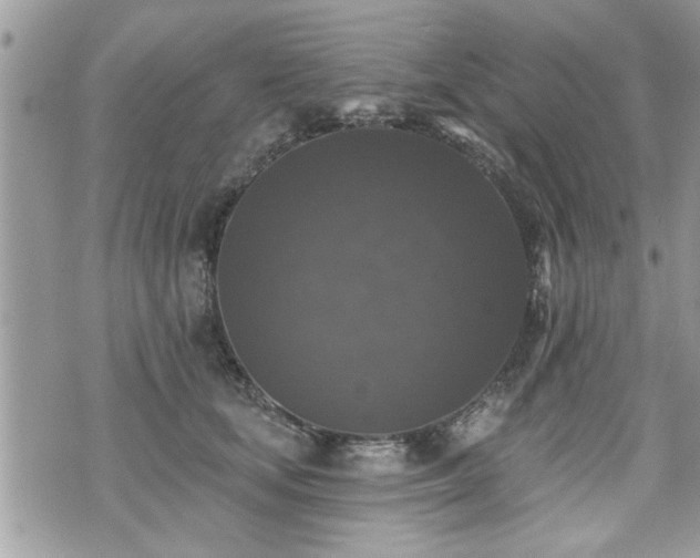 X0000070400659200606161347