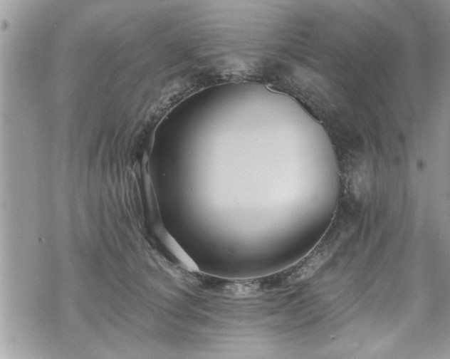 X0000070400660200606161347