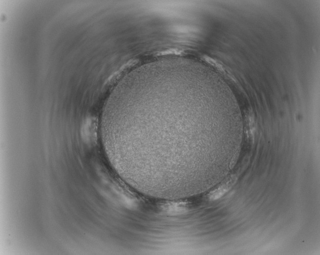 X0000070400664200606161347