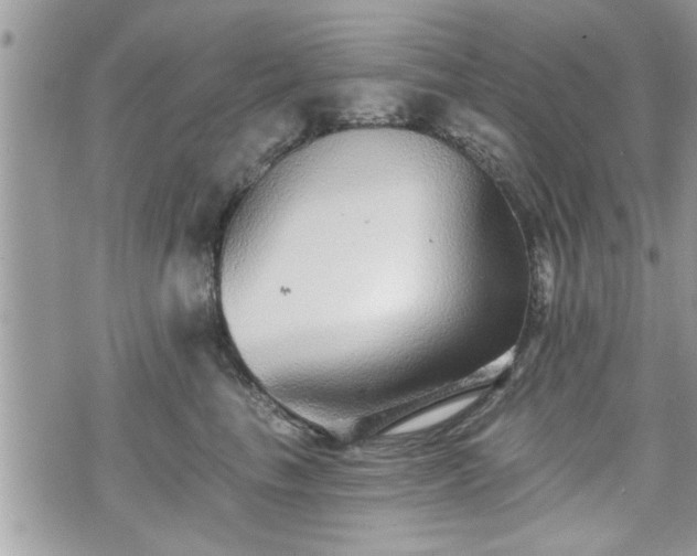 X0000070400665200606161347