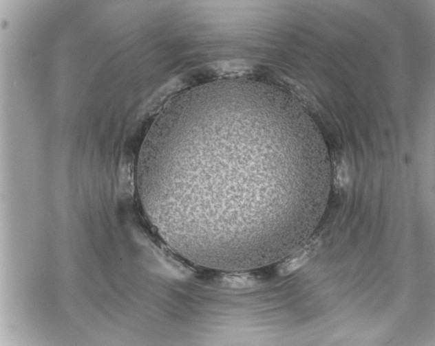 X0000070400666200606161347