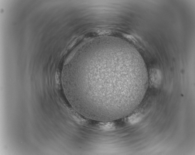 X0000070400667200606161347