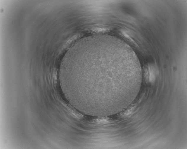 X0000070400668200606161347