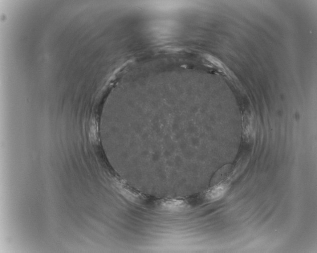 X0000070400669200606161347