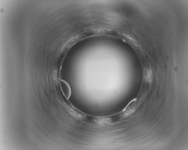 X0000070400670200606161347