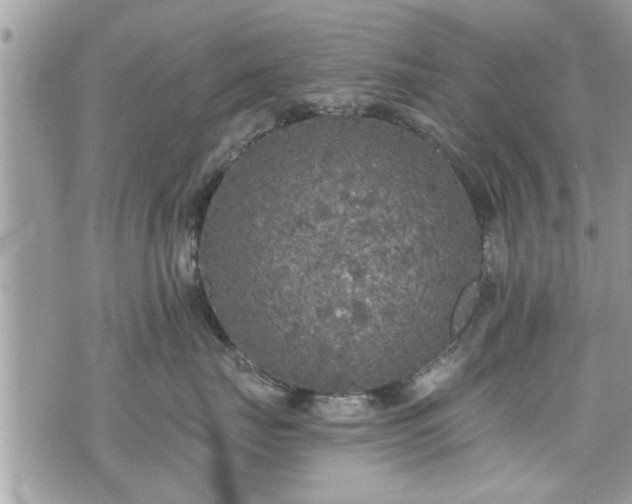 X0000070400671200606161347