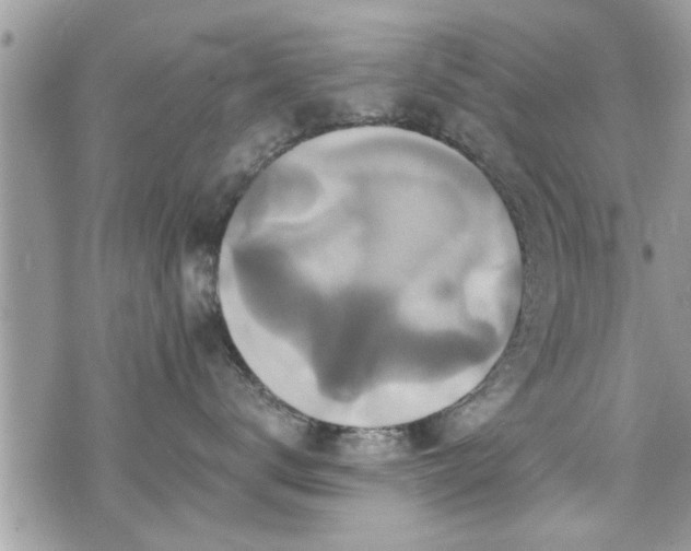 X0000070400672200606161347