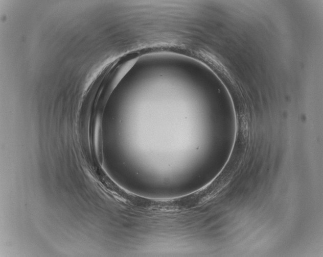 X0000070400676200606161346