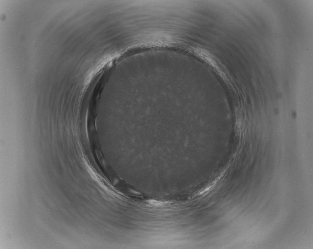 X0000070400677200606161346