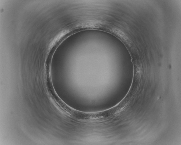 X0000070400678200606161346