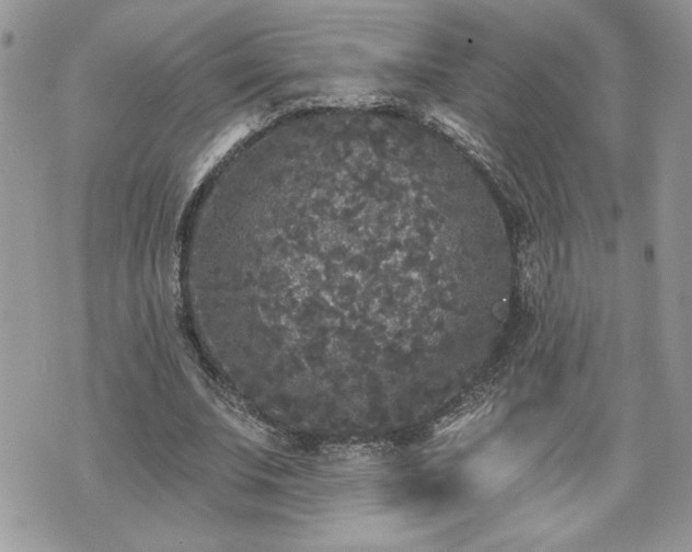 X0000070400679200606161346